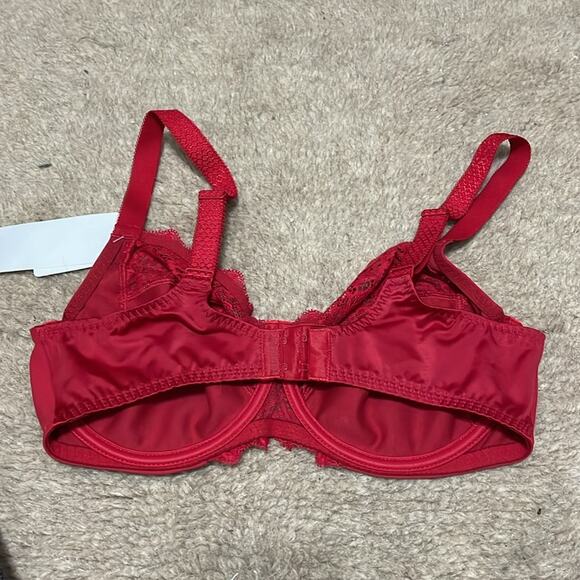 Simone Pèrele Caresse Full Cup Bra 34D Red New Retails $120 - Picture 4 of 5